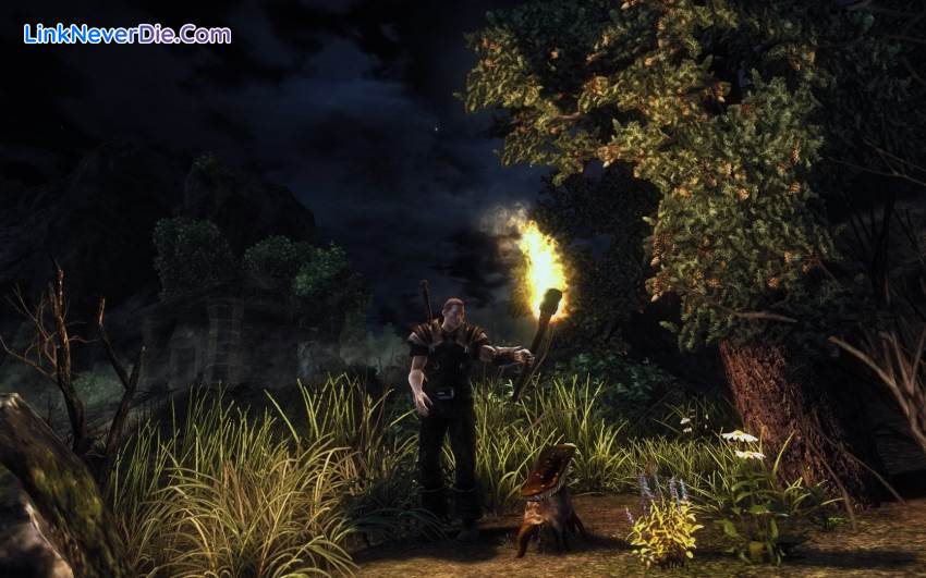 Hình ảnh trong game Risen (screenshot) Hình ảnh trong game Risen (screenshot)