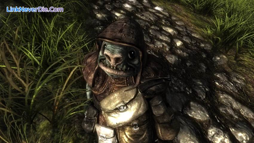 Hình ảnh trong game Risen (screenshot) Hình ảnh trong game Risen (screenshot)