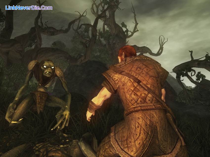 Hình ảnh trong game Risen (screenshot) Hình ảnh trong game Risen (screenshot)