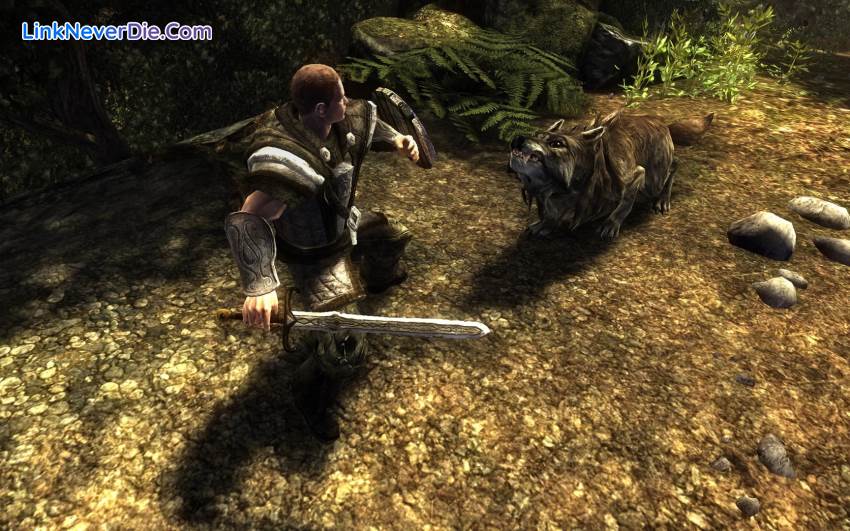 Hình ảnh trong game Risen (screenshot) Hình ảnh trong game Risen (screenshot)