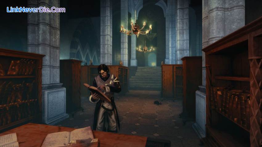 Hình ảnh trong game Risen 2 Dark Waters (screenshot) Hình ảnh trong game Risen 2 Dark Waters (screenshot)