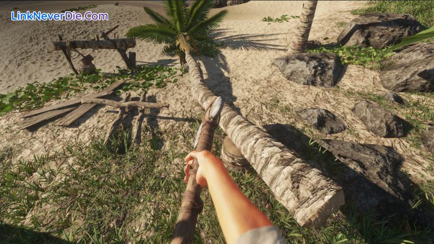 Hình ảnh trong game Stranded Deep (screenshot) Hình ảnh trong game Stranded Deep (screenshot)