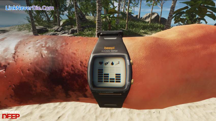 Hình ảnh trong game Stranded Deep (screenshot) Hình ảnh trong game Stranded Deep (screenshot)