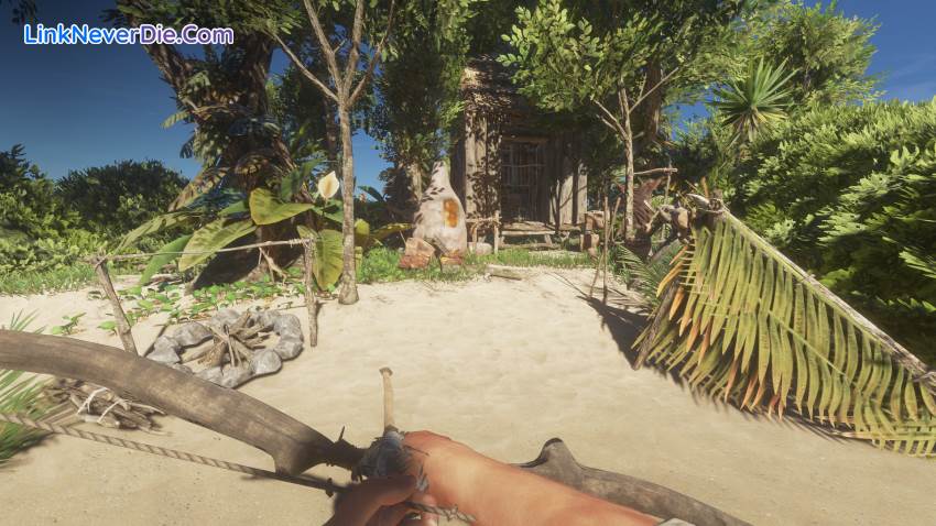 Hình ảnh trong game Stranded Deep (screenshot) Hình ảnh trong game Stranded Deep (screenshot)