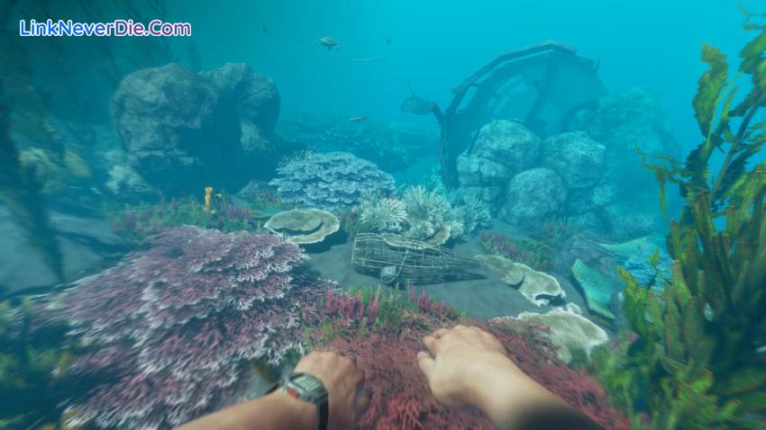 Hình ảnh trong game Stranded Deep (screenshot) Hình ảnh trong game Stranded Deep (screenshot)