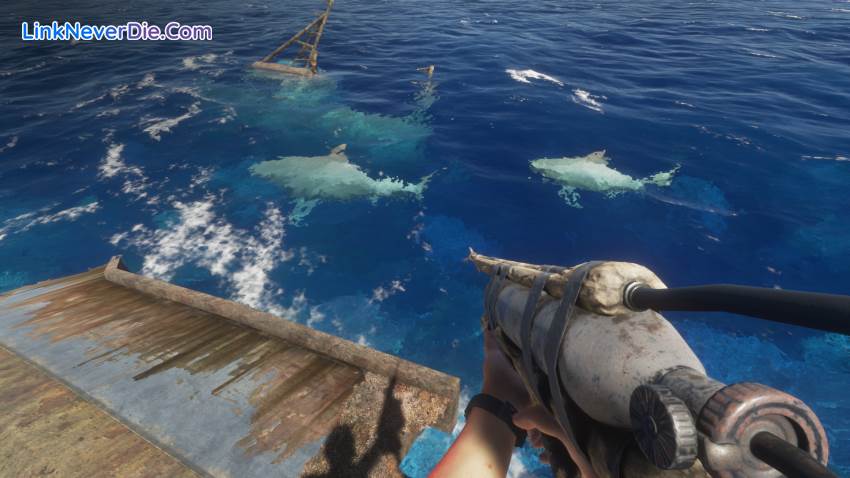 Hình ảnh trong game Stranded Deep (screenshot) Hình ảnh trong game Stranded Deep (screenshot)