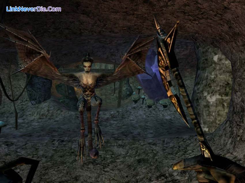 Hình ảnh trong game The Elder Scrolls 3 Morrowind Game Of Year (screenshot) Hình ảnh trong game The Elder Scrolls 3 Morrowind Game Of Year (screenshot)