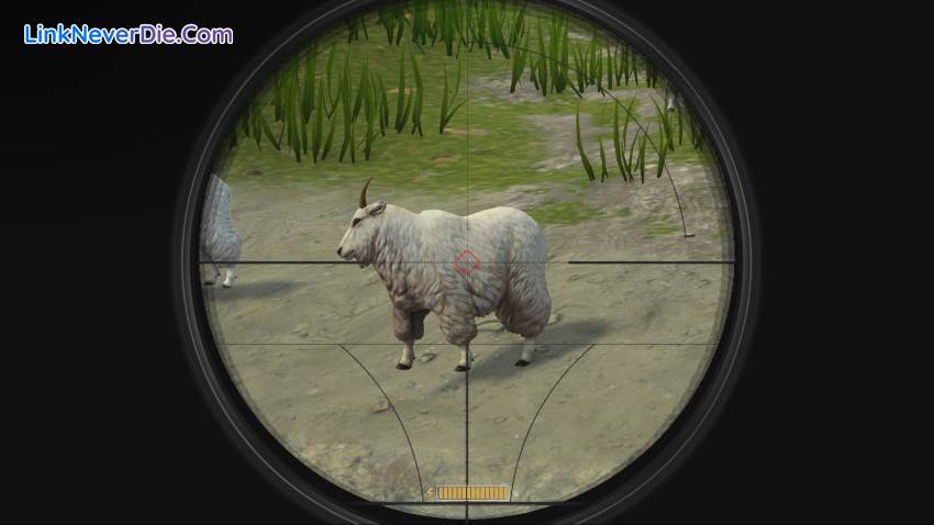 Hình ảnh trong game Deer Hunter: Reloaded (screenshot) Hình ảnh trong game Deer Hunter: Reloaded (screenshot)