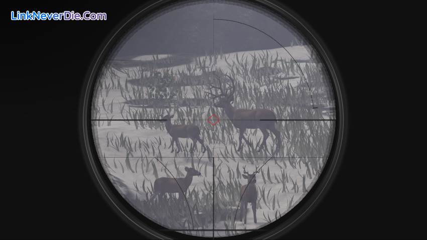 Hình ảnh trong game Deer Hunter: Reloaded (screenshot) Hình ảnh trong game Deer Hunter: Reloaded (screenshot)