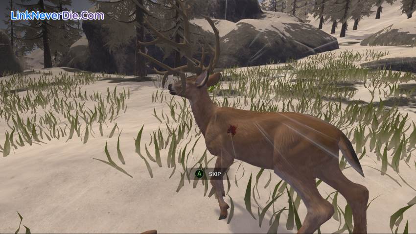 Hình ảnh trong game Deer Hunter: Reloaded (screenshot) Hình ảnh trong game Deer Hunter: Reloaded (screenshot)