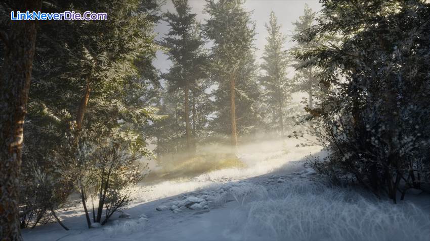 Hình ảnh trong game BIGFOOT (screenshot) Hình ảnh trong game BIGFOOT (screenshot)