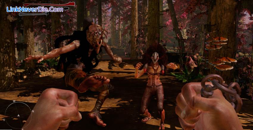 Hình ảnh trong game Zeno Clash 2 (screenshot) Hình ảnh trong game Zeno Clash 2 (screenshot)