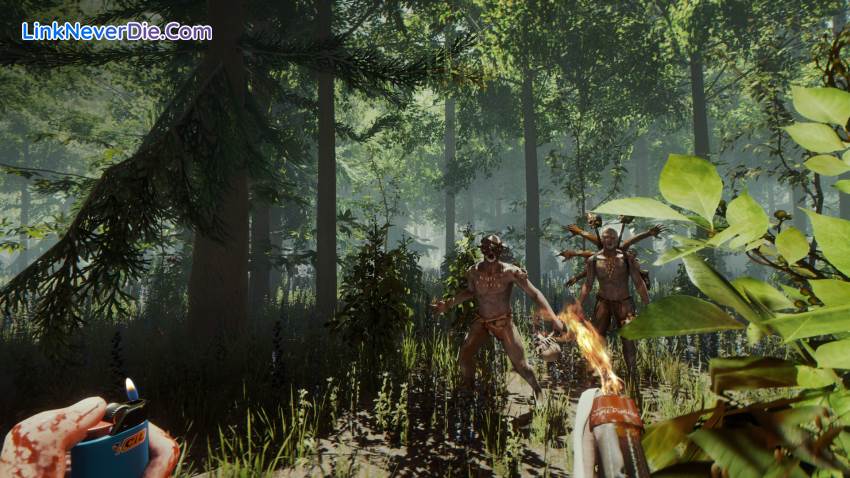 Hình ảnh trong game The Forest (screenshot) Hình ảnh trong game The Forest (screenshot)