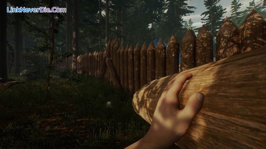 Hình ảnh trong game The Forest (screenshot) Hình ảnh trong game The Forest (screenshot)