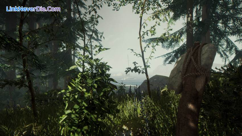 Hình ảnh trong game The Forest (screenshot) Hình ảnh trong game The Forest (screenshot)