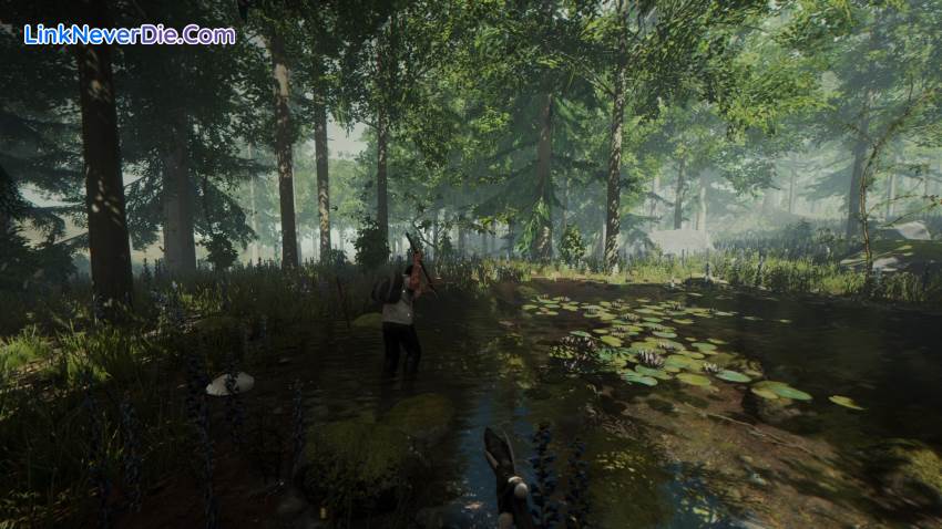 Hình ảnh trong game The Forest (screenshot) Hình ảnh trong game The Forest (screenshot)