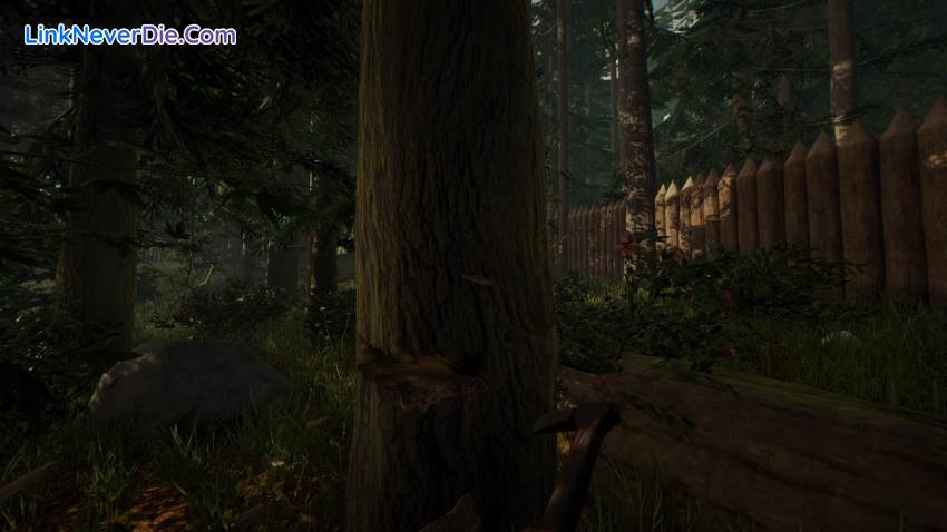 Hình ảnh trong game The Forest (screenshot) Hình ảnh trong game The Forest (screenshot)