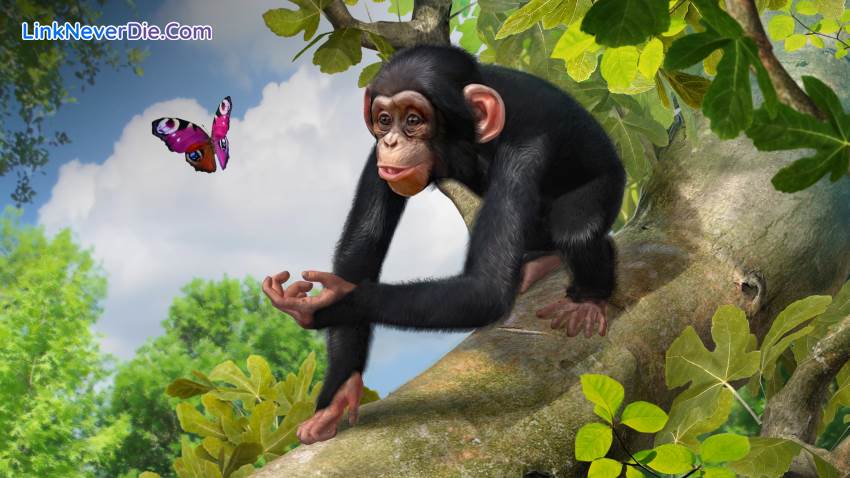 Hình ảnh trong game Zoo Tycoon: Ultimate Animal Collection (screenshot) Hình ảnh trong game Zoo Tycoon: Ultimate Animal Collection (screenshot)