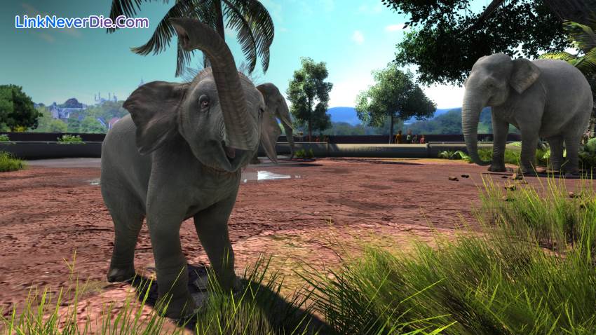 Hình ảnh trong game Zoo Tycoon: Ultimate Animal Collection (screenshot) Hình ảnh trong game Zoo Tycoon: Ultimate Animal Collection (screenshot)