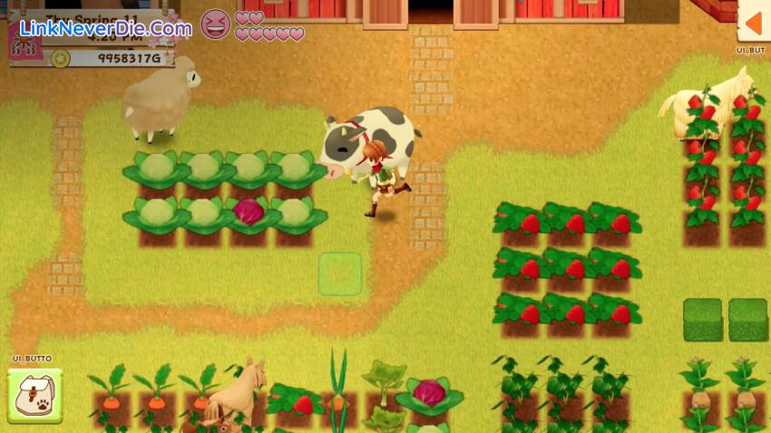 Hình ảnh trong game Harvest Moon: Light of Hope (screenshot) Hình ảnh trong game Harvest Moon: Light of Hope (screenshot)