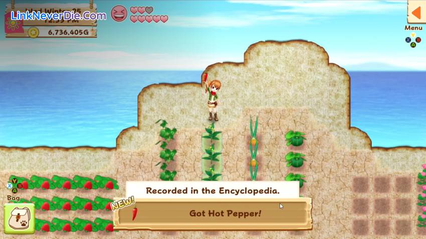 Hình ảnh trong game Harvest Moon: Light of Hope (screenshot) Hình ảnh trong game Harvest Moon: Light of Hope (screenshot)