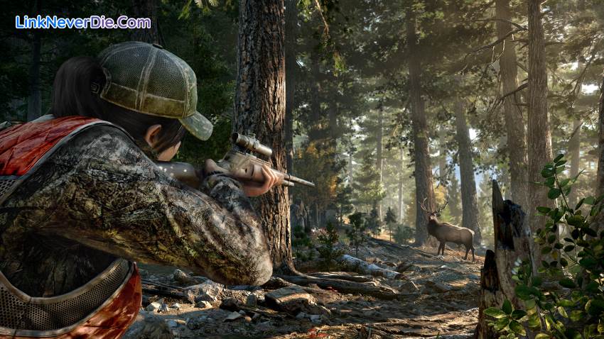Hình ảnh trong game Far Cry 5 (screenshot) Hình ảnh trong game Far Cry 5 (screenshot)