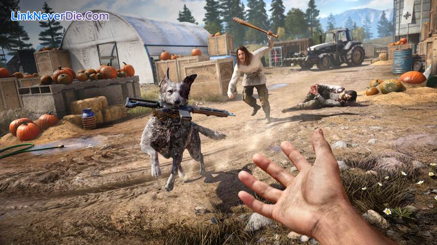 Hình ảnh trong game Far Cry 5 (screenshot) Hình ảnh trong game Far Cry 5 (screenshot)