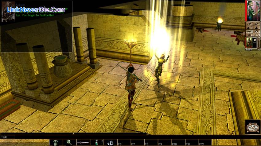 Hình ảnh trong game Neverwinter Nights: Enhanced Edition (screenshot) Hình ảnh trong game Neverwinter Nights: Enhanced Edition (screenshot)