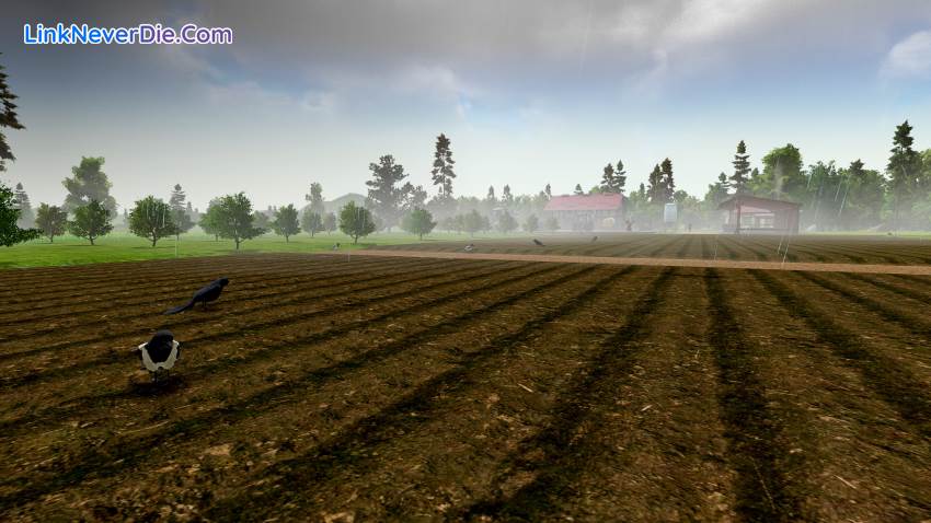 Hình ảnh trong game Farm Manager 2018 (screenshot) Hình ảnh trong game Farm Manager 2018 (screenshot)