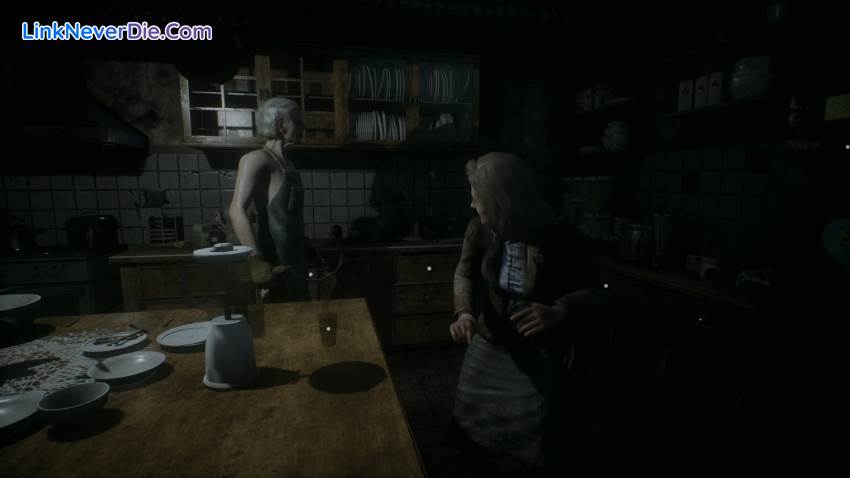 Hình ảnh trong game Remothered: Tormented Fathers (screenshot) Hình ảnh trong game Remothered: Tormented Fathers (screenshot)