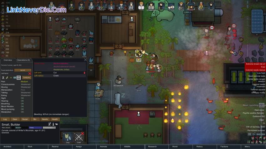 Hình ảnh trong game RimWorld (screenshot) Hình ảnh trong game RimWorld (screenshot)
