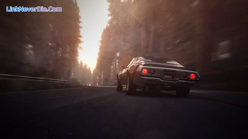 Hình ảnh trong game Grid 2 Reloaded Edition (screenshot) Hình ảnh trong game Grid 2 Reloaded Edition (screenshot)