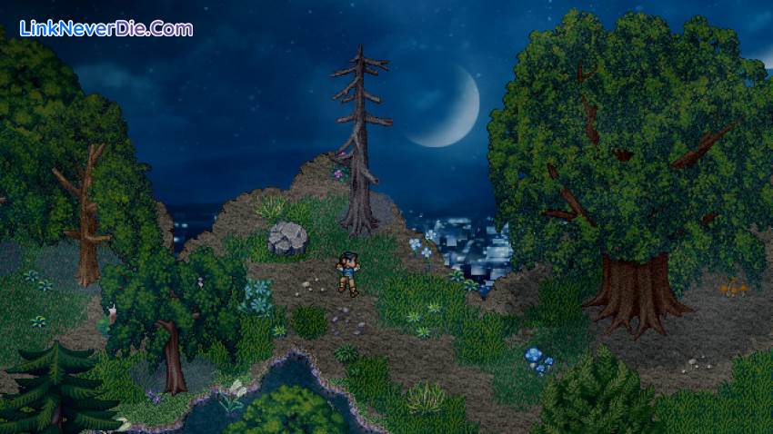 Hình ảnh trong game Finding Paradise (screenshot) Hình ảnh trong game Finding Paradise (screenshot)