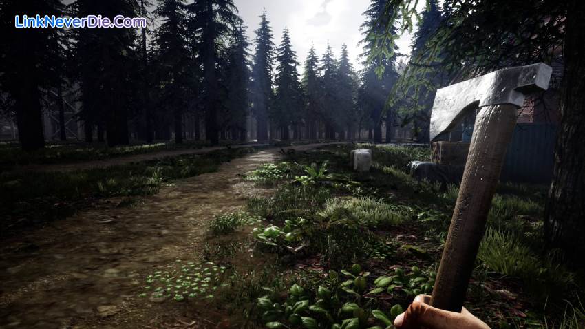 Hình ảnh trong game Mist Survival (screenshot) Hình ảnh trong game Mist Survival (screenshot)