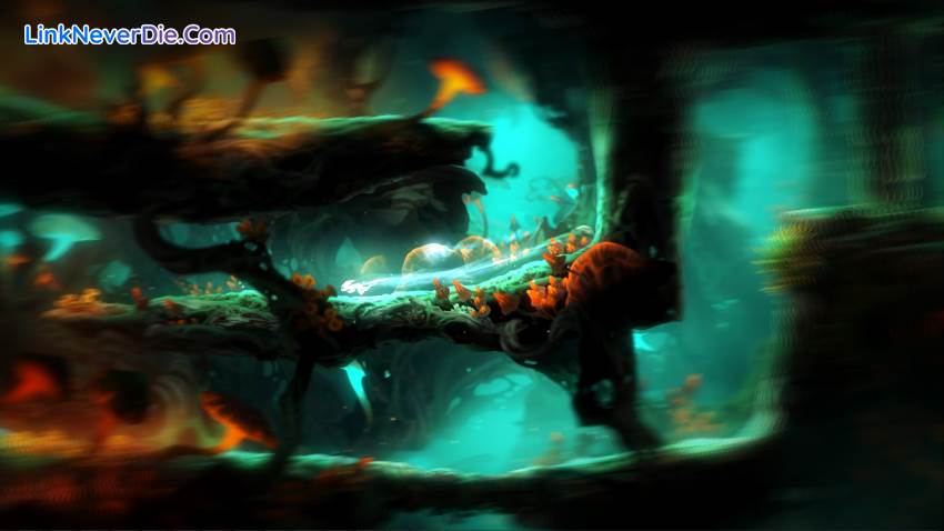 Hình ảnh trong game Ori and the Blind Forest: Definitive Edition (screenshot) Hình ảnh trong game Ori and the Blind Forest: Definitive Edition (screenshot)