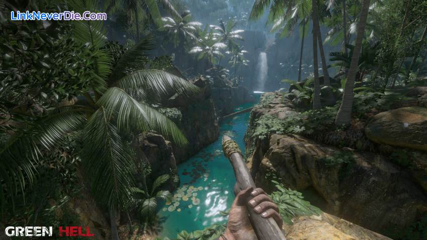 Hình ảnh trong game Green Hell (screenshot) Hình ảnh trong game Green Hell (screenshot)