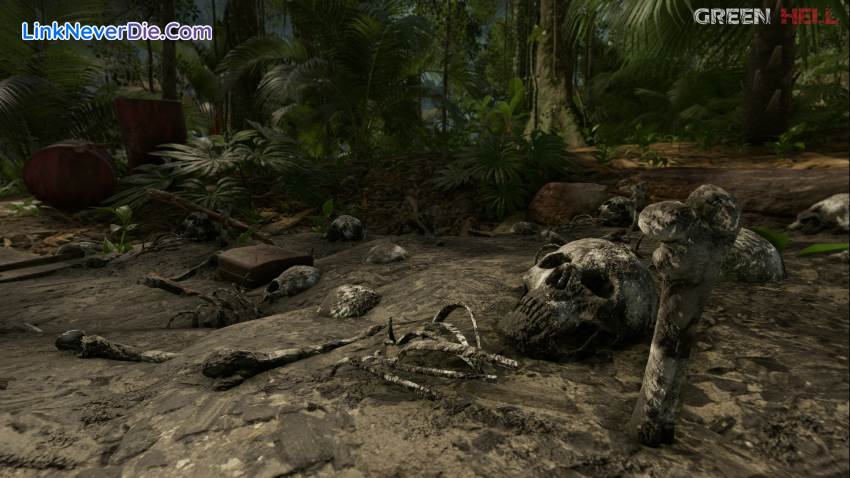 Hình ảnh trong game Green Hell (screenshot) Hình ảnh trong game Green Hell (screenshot)