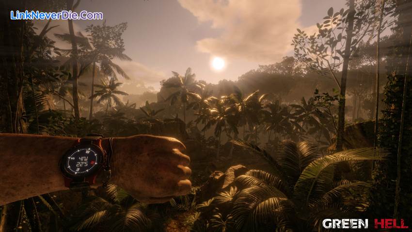 Hình ảnh trong game Green Hell (screenshot) Hình ảnh trong game Green Hell (screenshot)