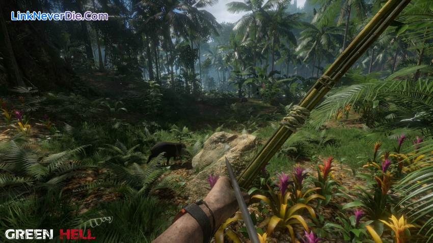 Hình ảnh trong game Green Hell (screenshot) Hình ảnh trong game Green Hell (screenshot)