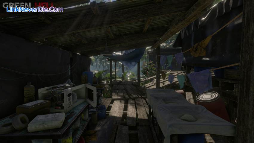 Hình ảnh trong game Green Hell (screenshot) Hình ảnh trong game Green Hell (screenshot)