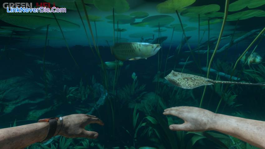 Hình ảnh trong game Green Hell (screenshot) Hình ảnh trong game Green Hell (screenshot)