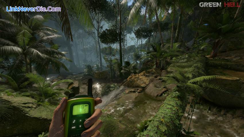 Hình ảnh trong game Green Hell (screenshot) Hình ảnh trong game Green Hell (screenshot)