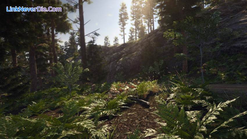 Hình ảnh trong game SCUM (screenshot) Hình ảnh trong game SCUM (screenshot)