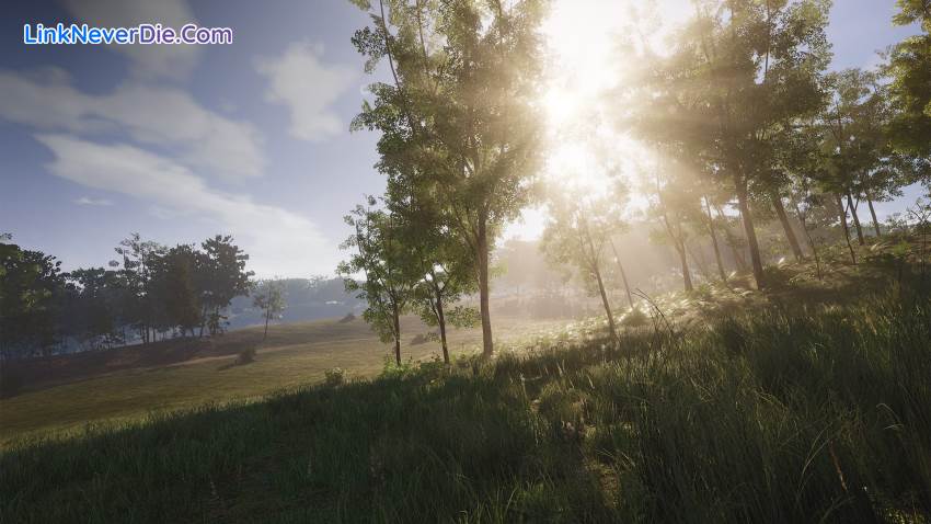 Hình ảnh trong game SCUM (screenshot) Hình ảnh trong game SCUM (screenshot)