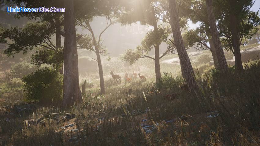 Hình ảnh trong game SCUM (screenshot) Hình ảnh trong game SCUM (screenshot)
