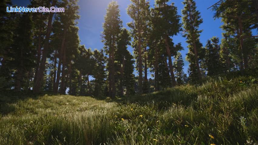 Hình ảnh trong game SCUM (screenshot) Hình ảnh trong game SCUM (screenshot)