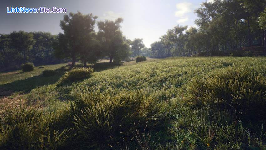 Hình ảnh trong game SCUM (screenshot) Hình ảnh trong game SCUM (screenshot)