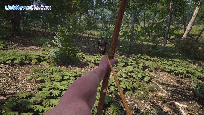 Hình ảnh trong game SCUM (screenshot) Hình ảnh trong game SCUM (screenshot)