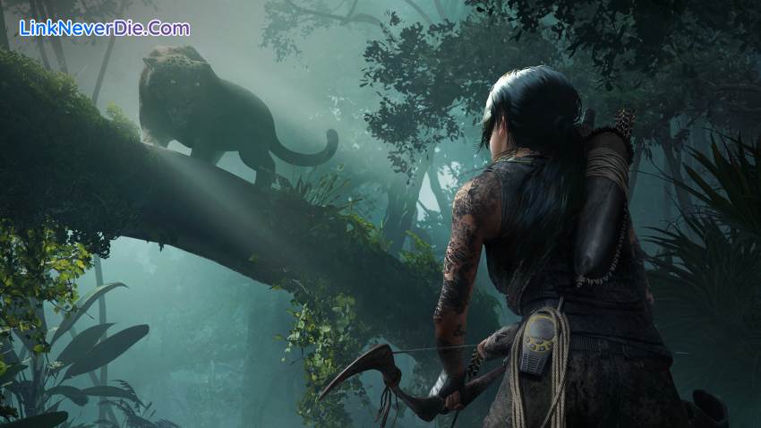 Hình ảnh trong game Shadow of The Tomb Raider (screenshot) Hình ảnh trong game Shadow of The Tomb Raider (screenshot)
