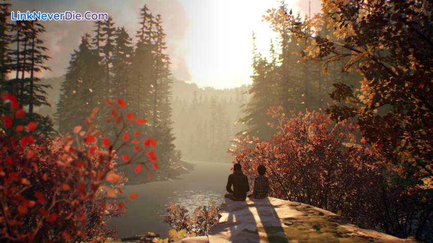 Hình ảnh trong game Life is Strange 2 (screenshot) Hình ảnh trong game Life is Strange 2 (screenshot)
